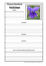 Pflanzensteckbrief-Veilchen.pdf